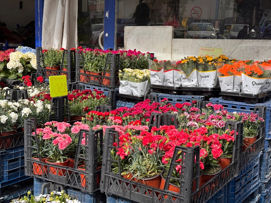 An outdoor display of potted flowers featuring vibrant pink, red, white, orange, and yellow blooms arranged in black plastic crates and white paper wrapping, set against a storefront window with cars 