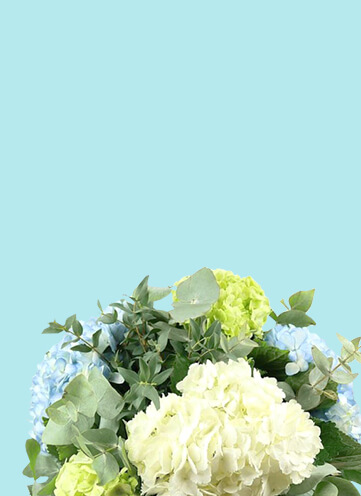 Same day Flowers Bloomsbury